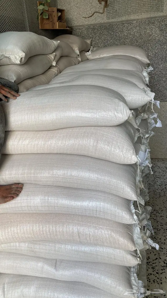 اعلاف كروان وروز وبادجي وكناري 0
