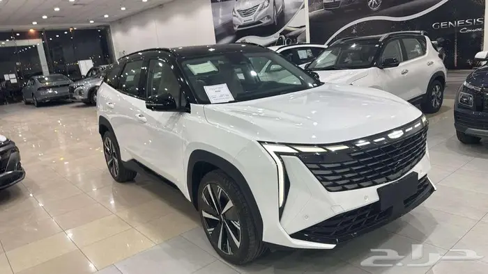 جيلي ستار راي 2024 فل كامل كاش - بنك 1