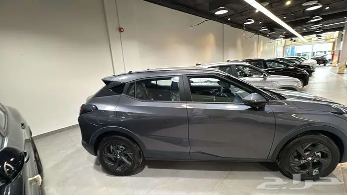 جاك ام زووم نص فل 2025 7