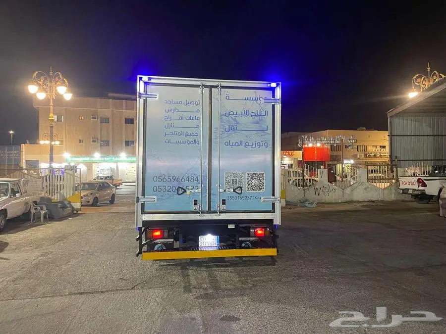 دينا 2