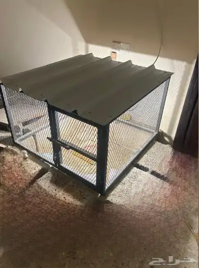للبيع شبك طيور 0
