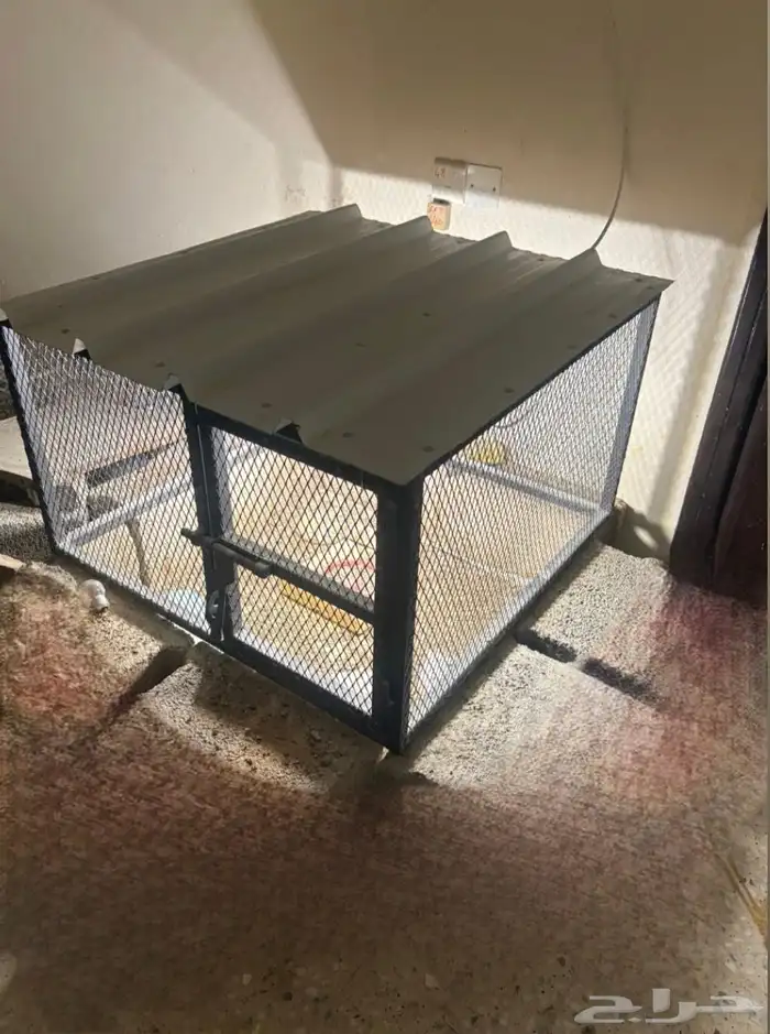 للبيع شبك طيور 0