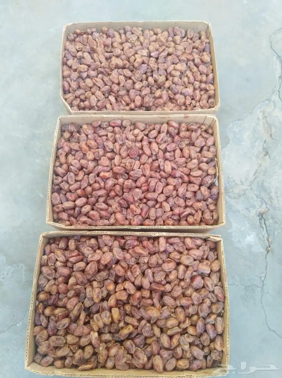 تمر اخلاص عضوي نثر 1