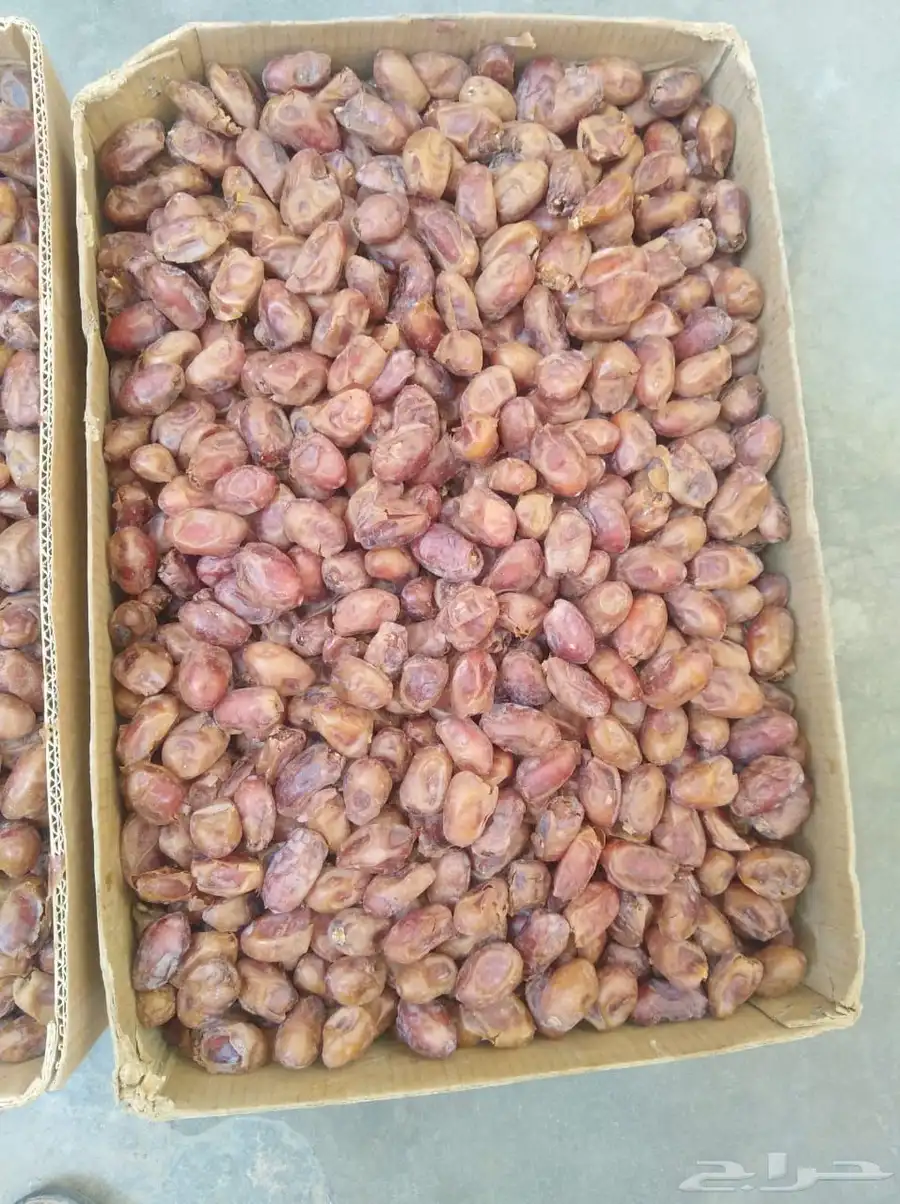 تمر اخلاص عضوي نثر 0