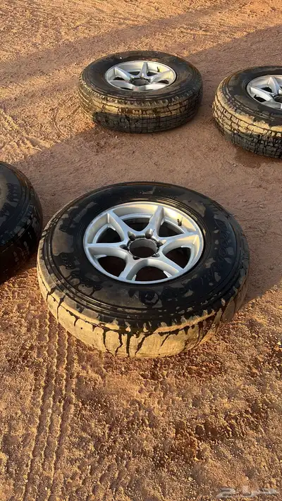 جنوط استرالي مع بوالين 3