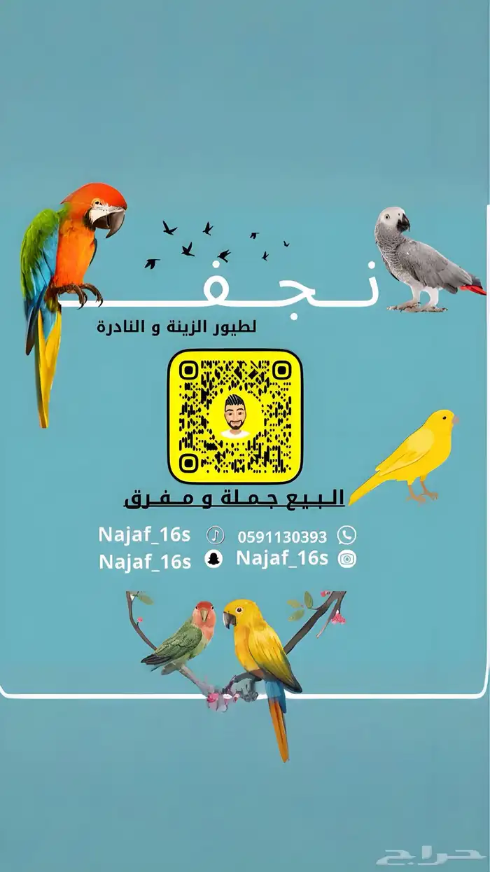 زوج لوري ازوج لوري 1