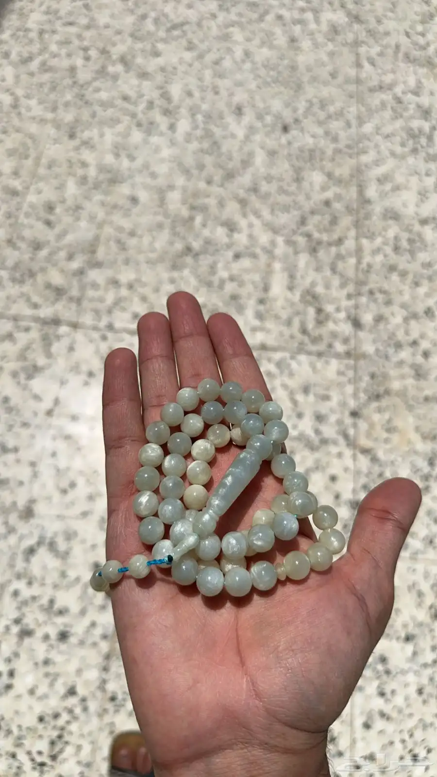 سبحة الحرباء الشمسية 0