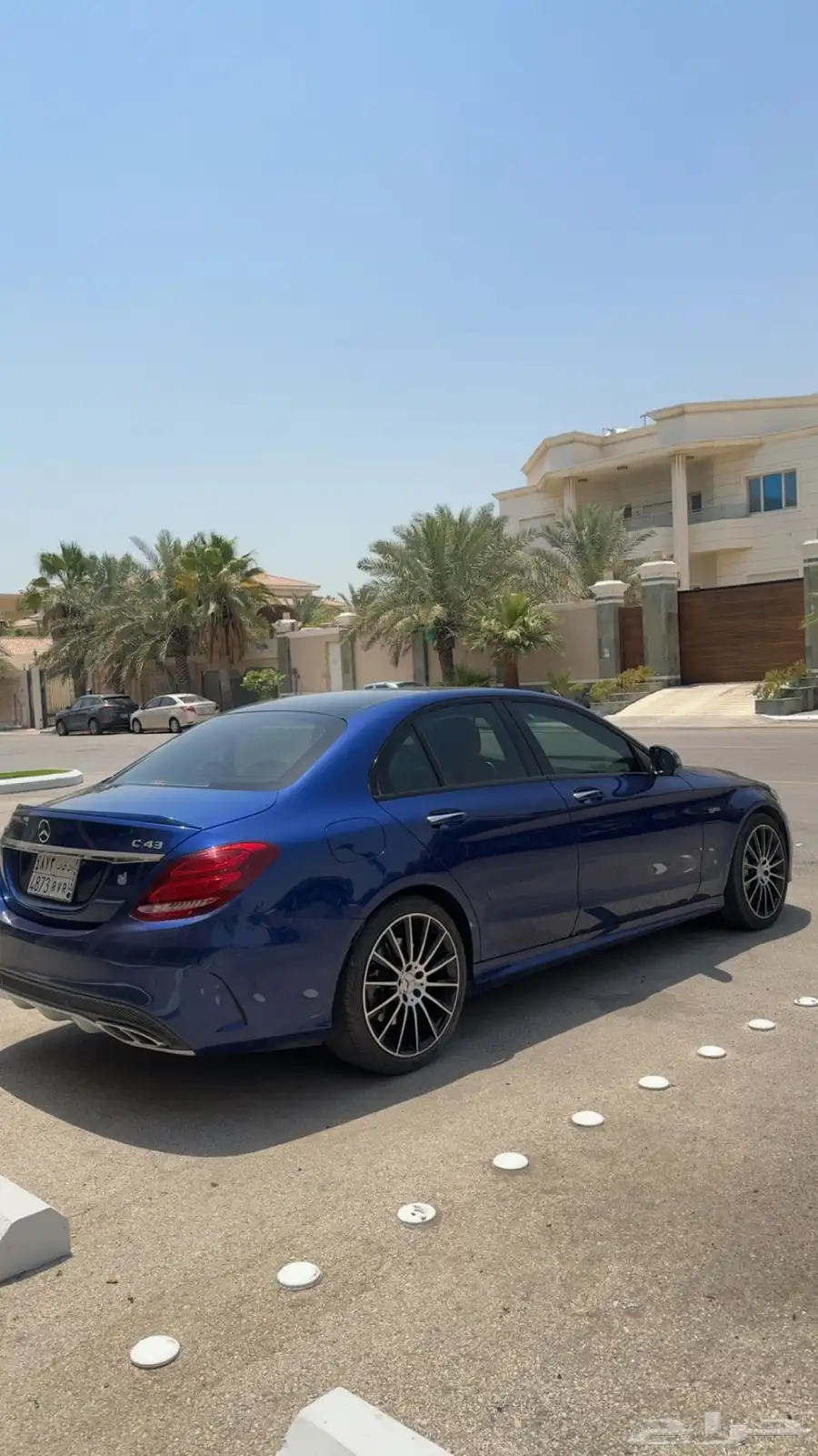 تم البيع 7