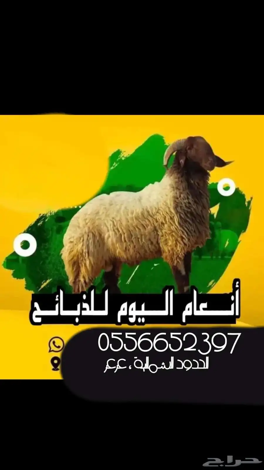 هرافي 0