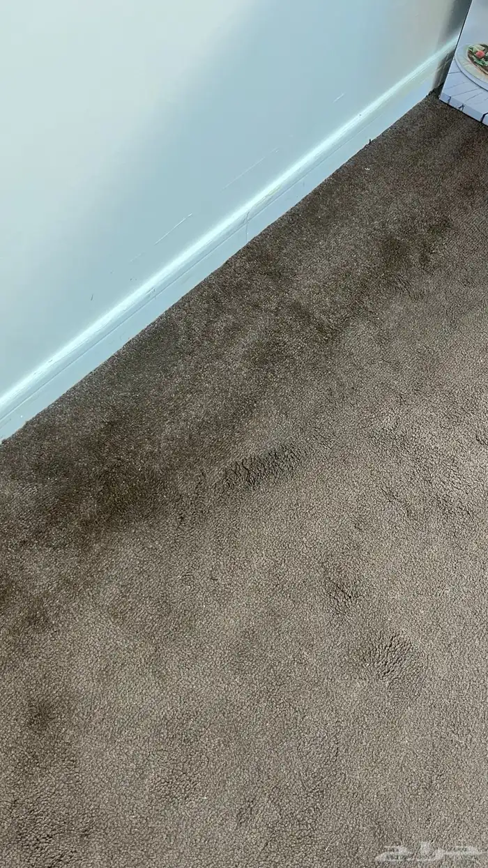 فرشه مو كيت نظيفه 3