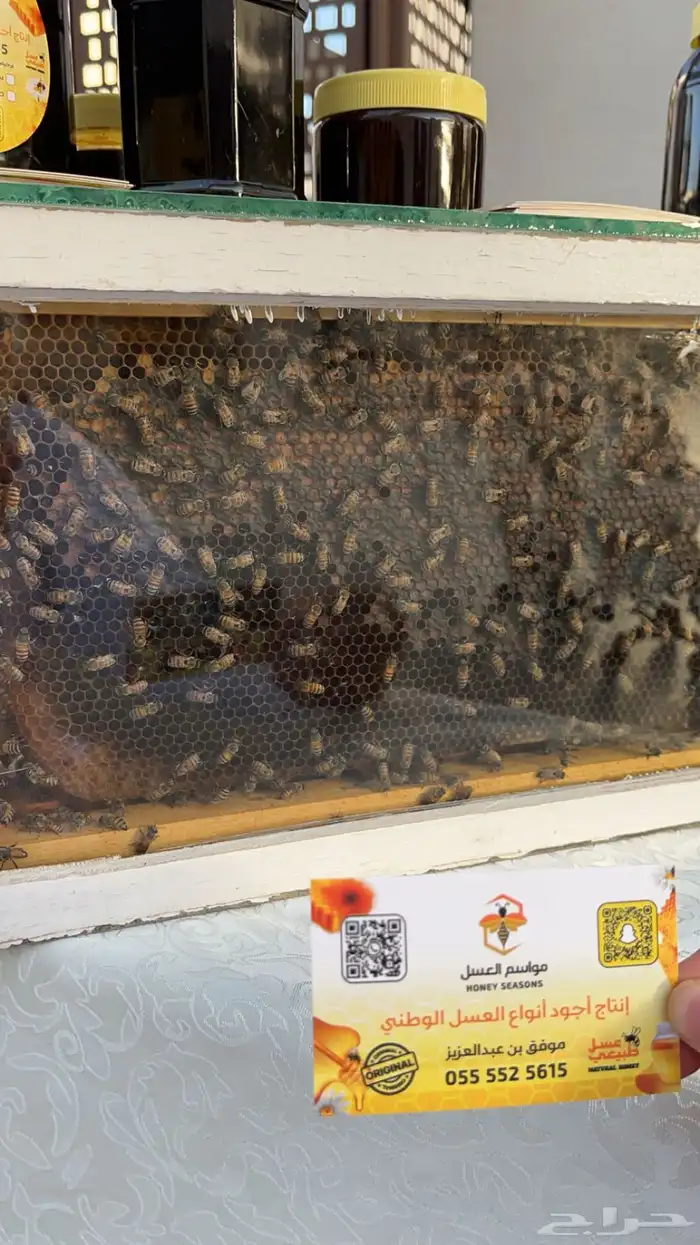 عسل اصلي 15