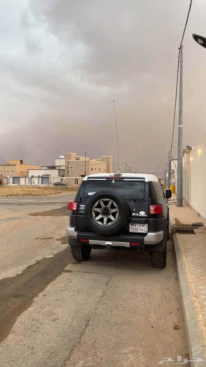 افجي2014 4