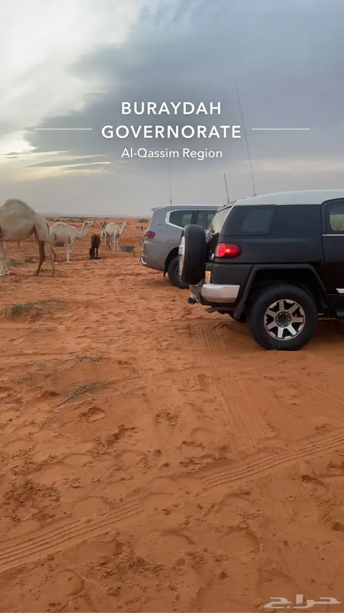 افجي2014 5