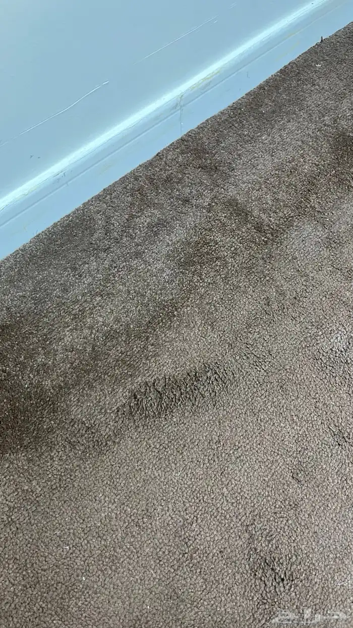 فرشه مو كيت نظيفه 2