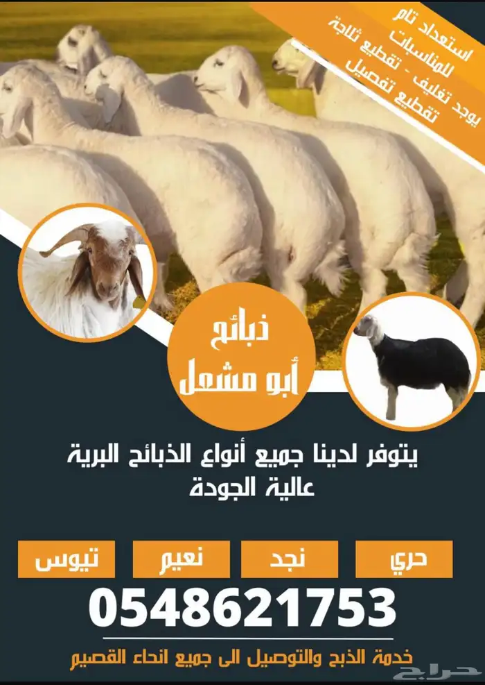 ذبايح القصيم 5