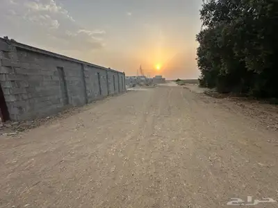 حوش للإيجار 2