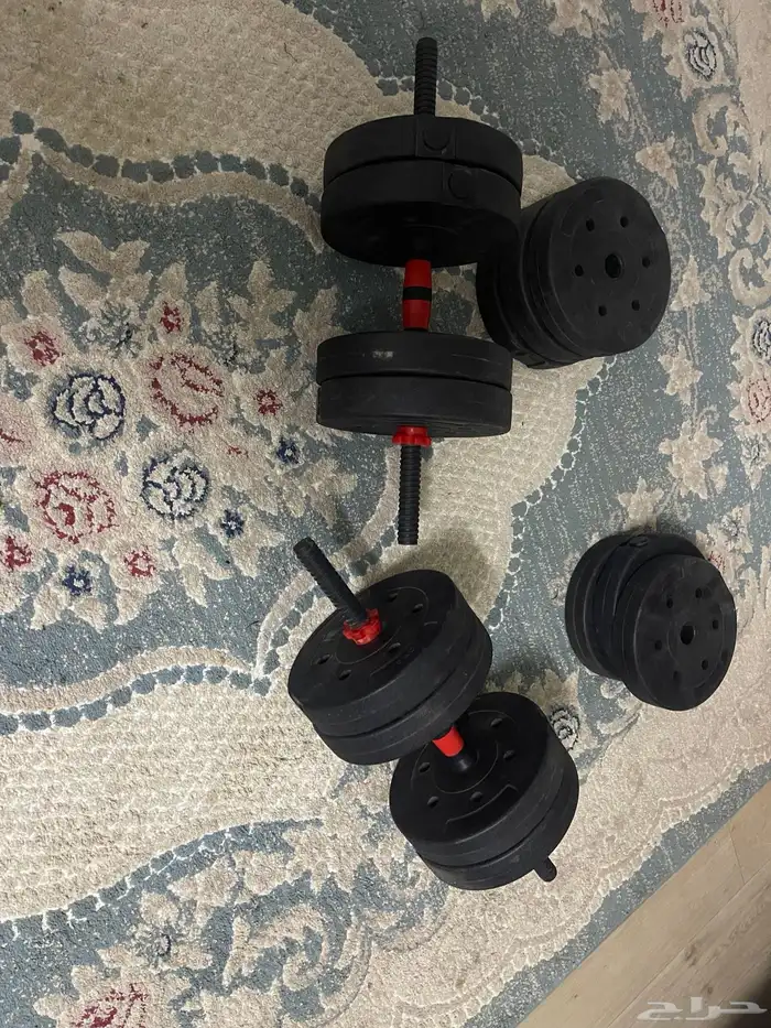 دنبل 3