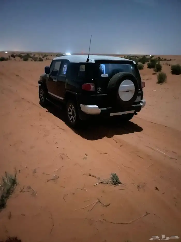 افجي2014 1