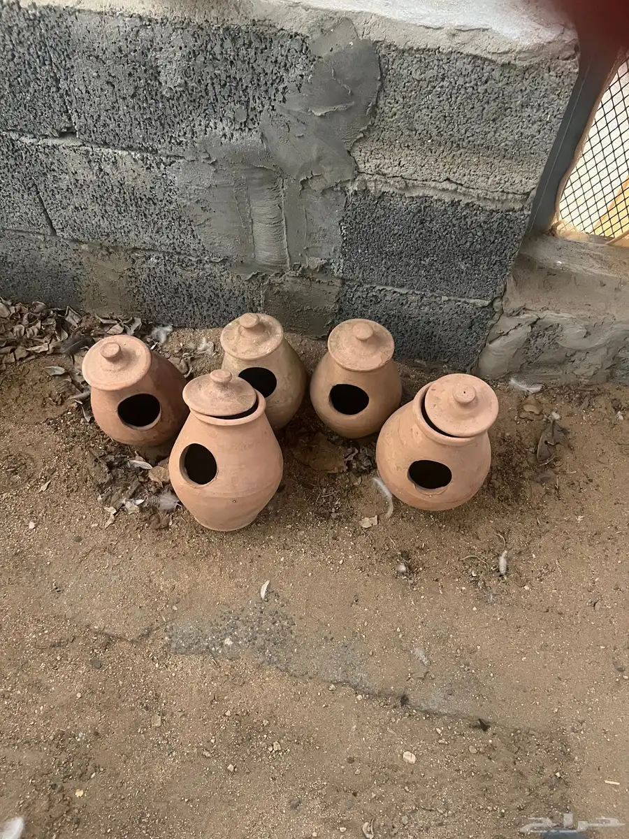فخار بياضات 0
