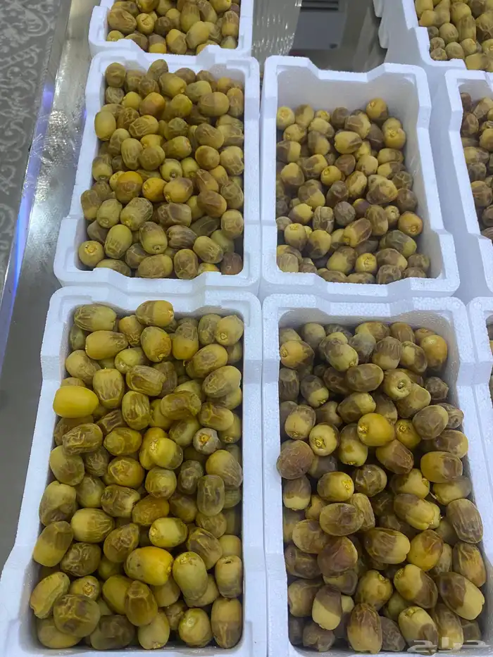 روثانه طازجه 4