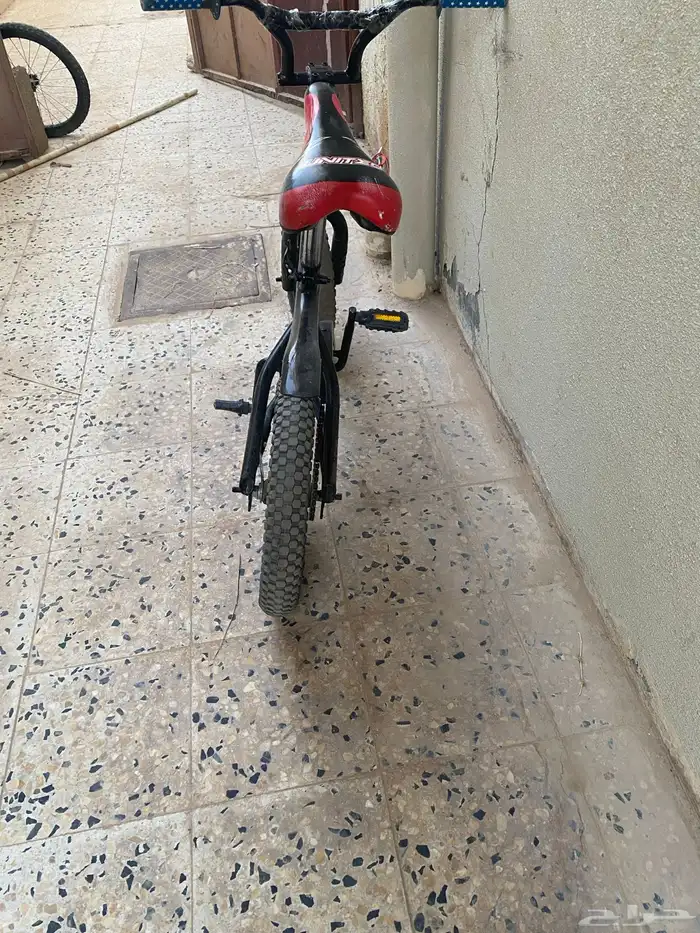 الحفر البطن 2