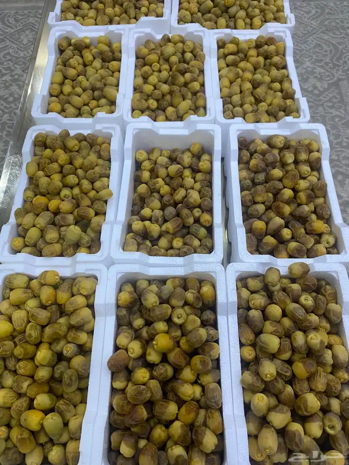 روثانه طازجه 0