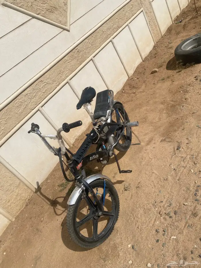 سيكل رامبو الاصلي مقاس 20 الحد ( 600 ) 2