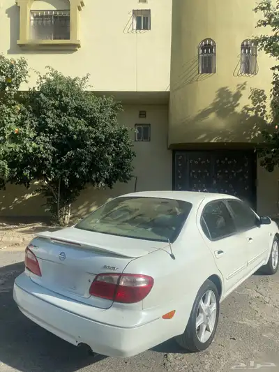ماكسميا 2007 1