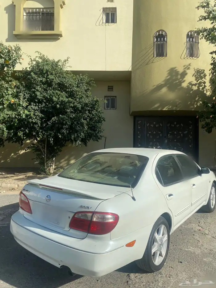 ماكسميا 2007 1