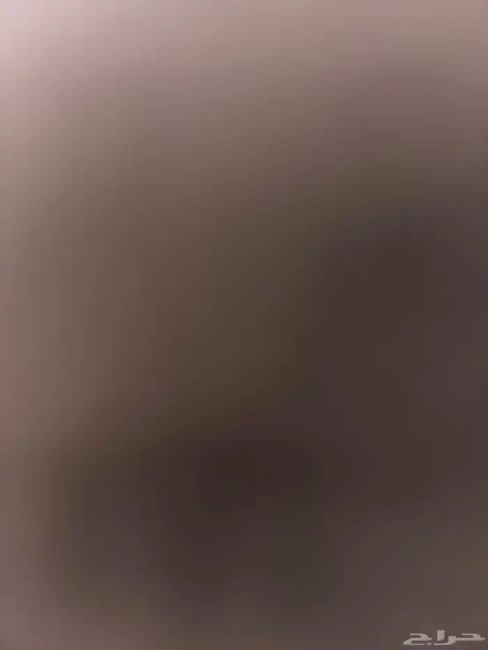 مطلوب  حوش غرب بريدة 0