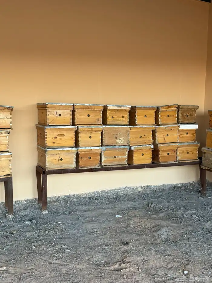 صناديق نحل وكراسي وبراويز وفرازه 2