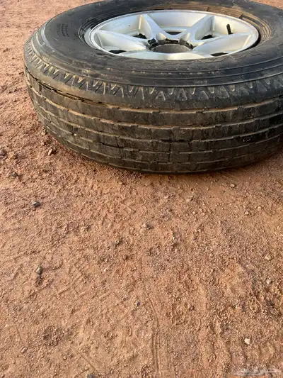 جنوط استرالي مع بوالين 7