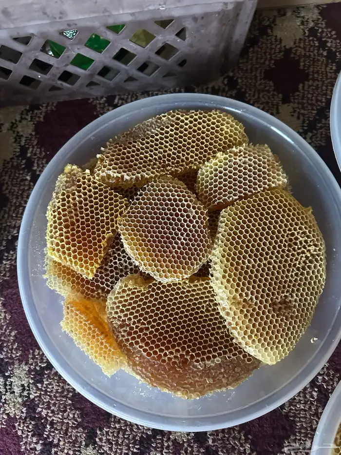 عسل طلحه لهذا العام 1446 12 28 1