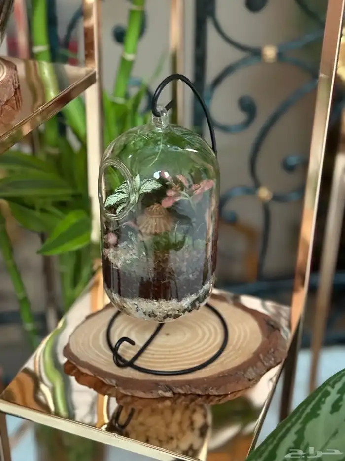 عروض خاصة 4