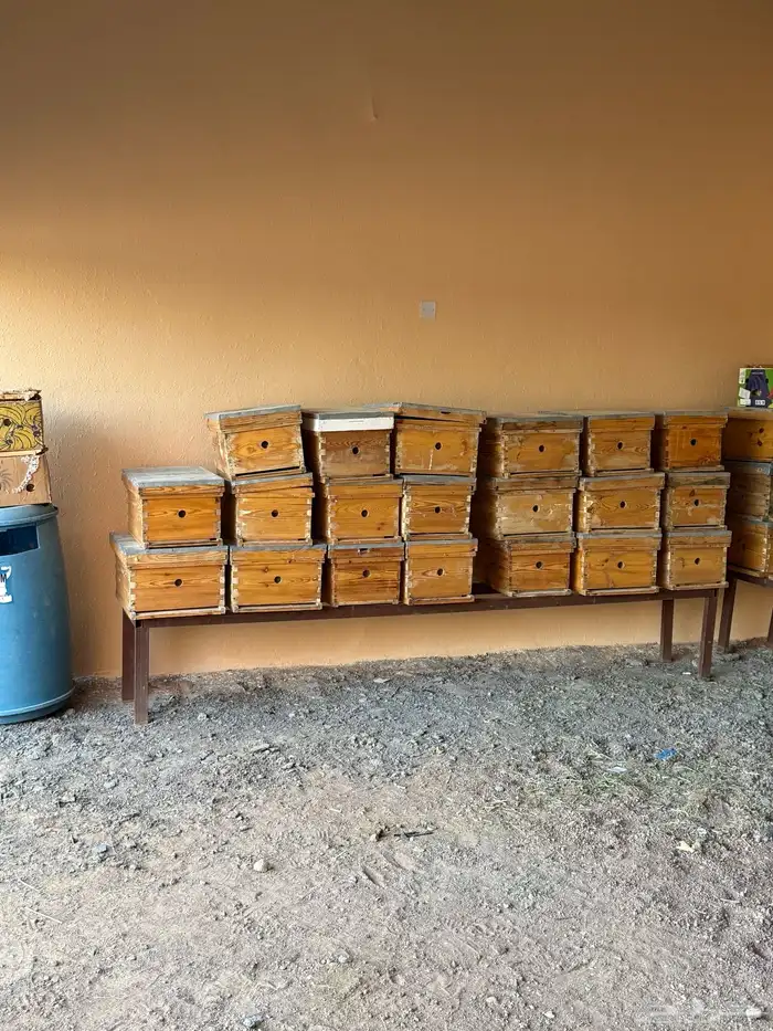 صناديق نحل وكراسي وبراويز وفرازه 4