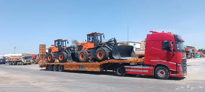 لوبد موجود في المدينه المنوره 1