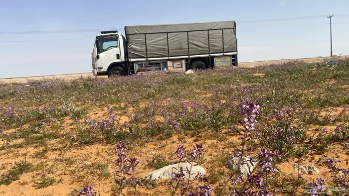 دنا دنا نقل العفش و بضايع جميع نحا المملكه وخرجه 0