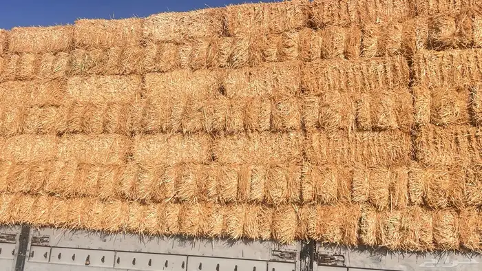 اعلاف بسيطاء تبن قمح جديد 0