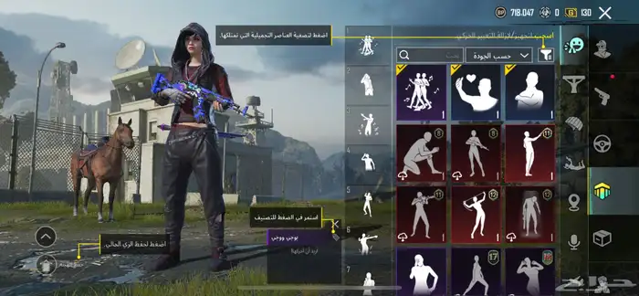 حساب ببجي من 2019 فيه نوادر 38