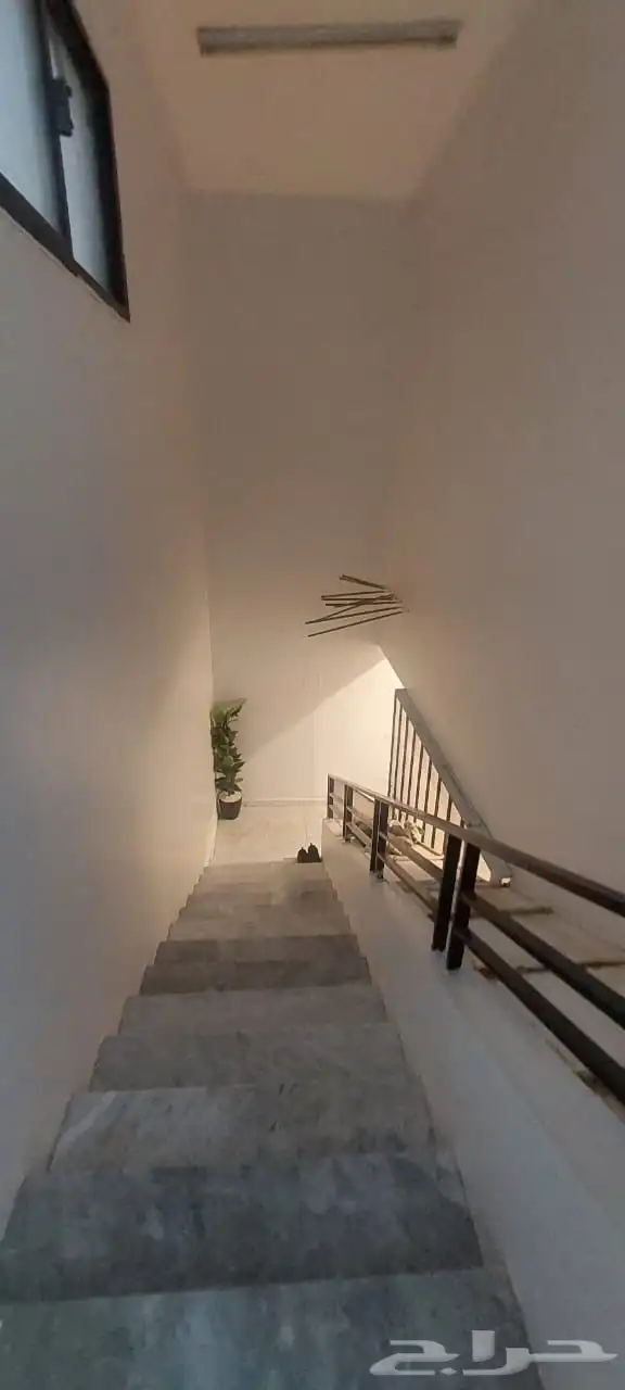 عمارة للبيع في حي الربوه 0