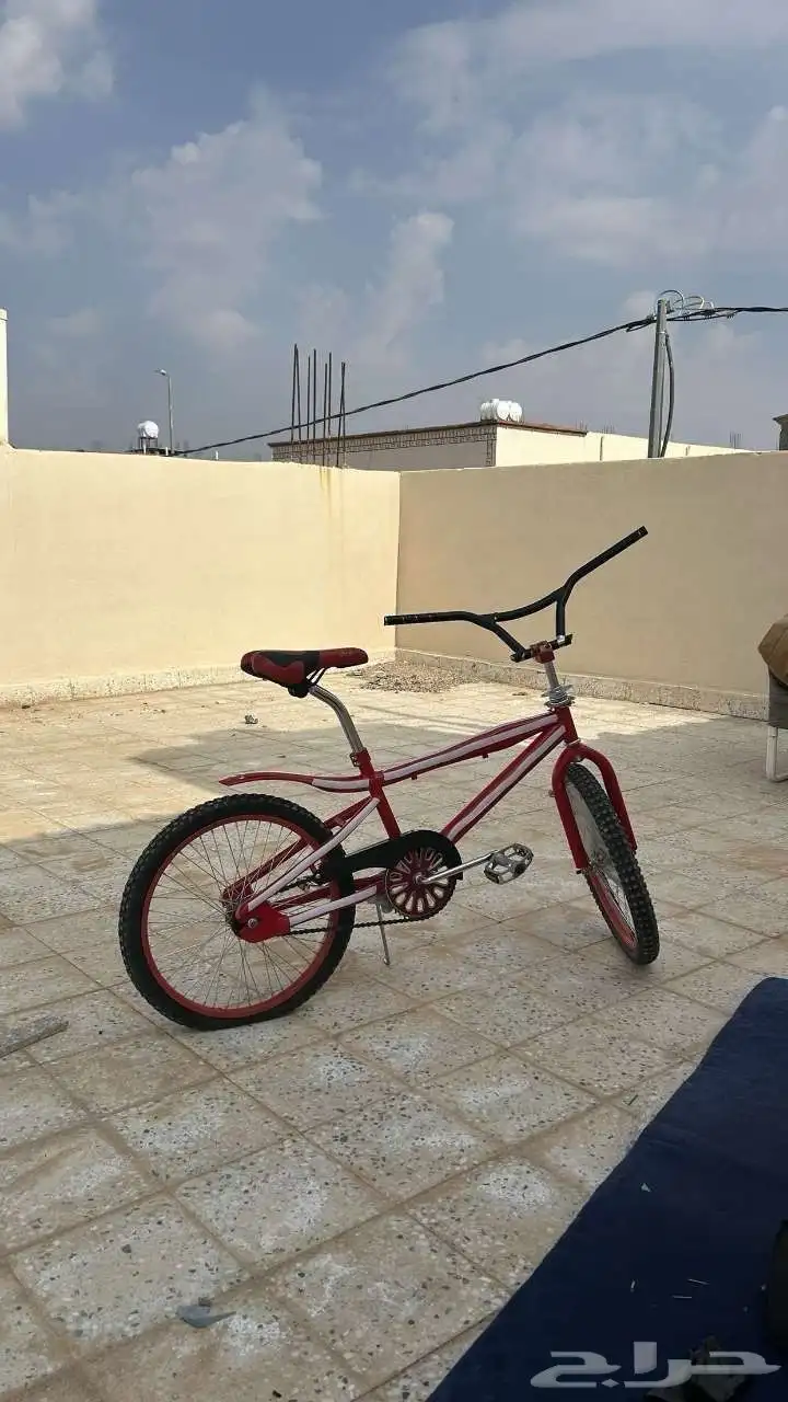 سيكل كوبرا جنط 20 2