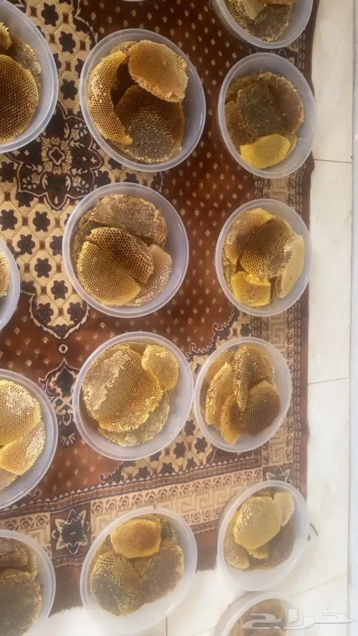 عسل شوكة انتاج جديد 0