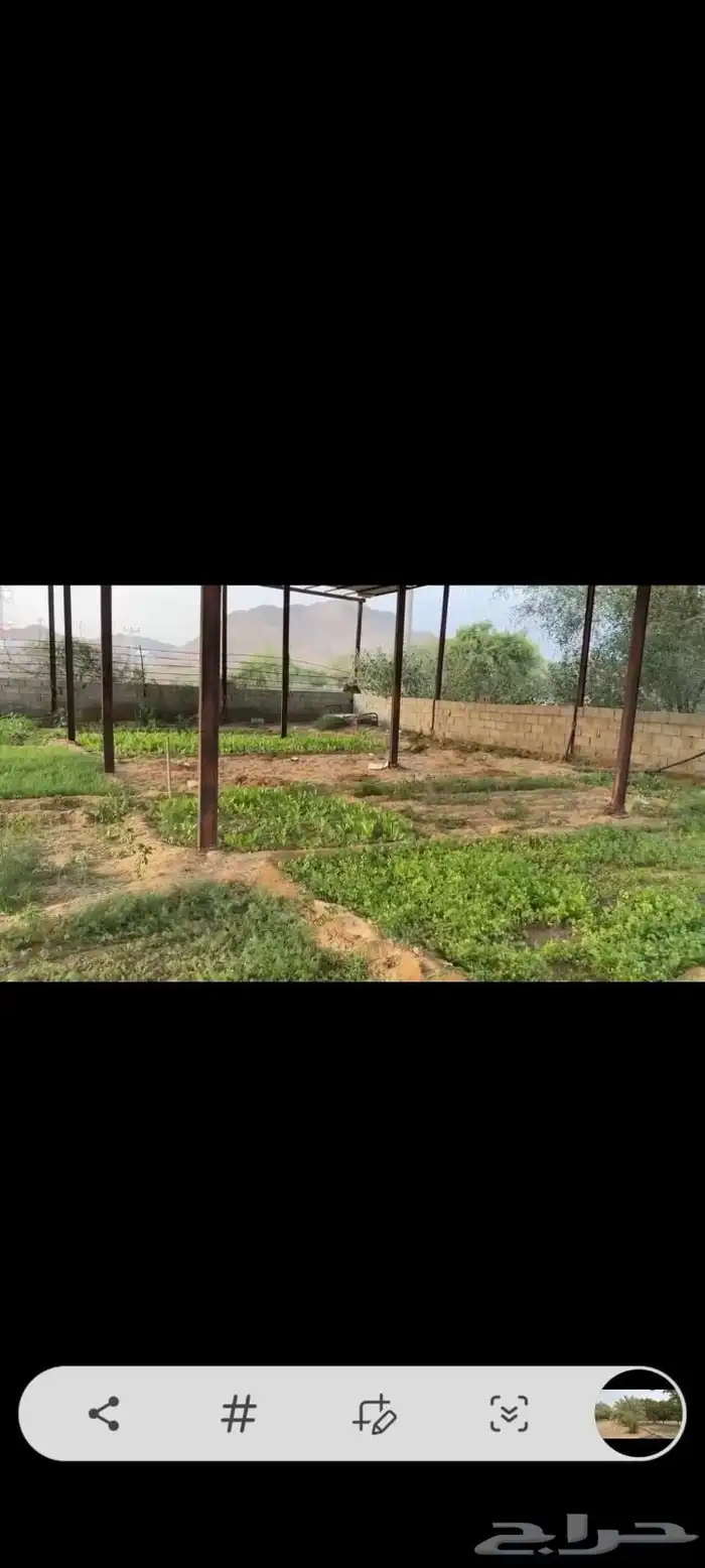 مزرعة للبيع في وادي الاحسبة في المخواة 2