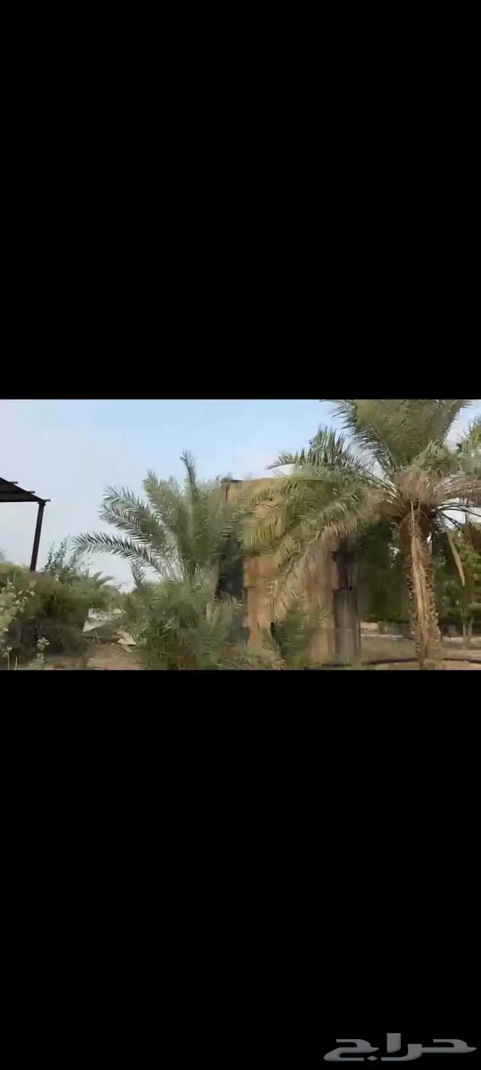 مزرعة للبيع في وادي الاحسبة في المخواة 22