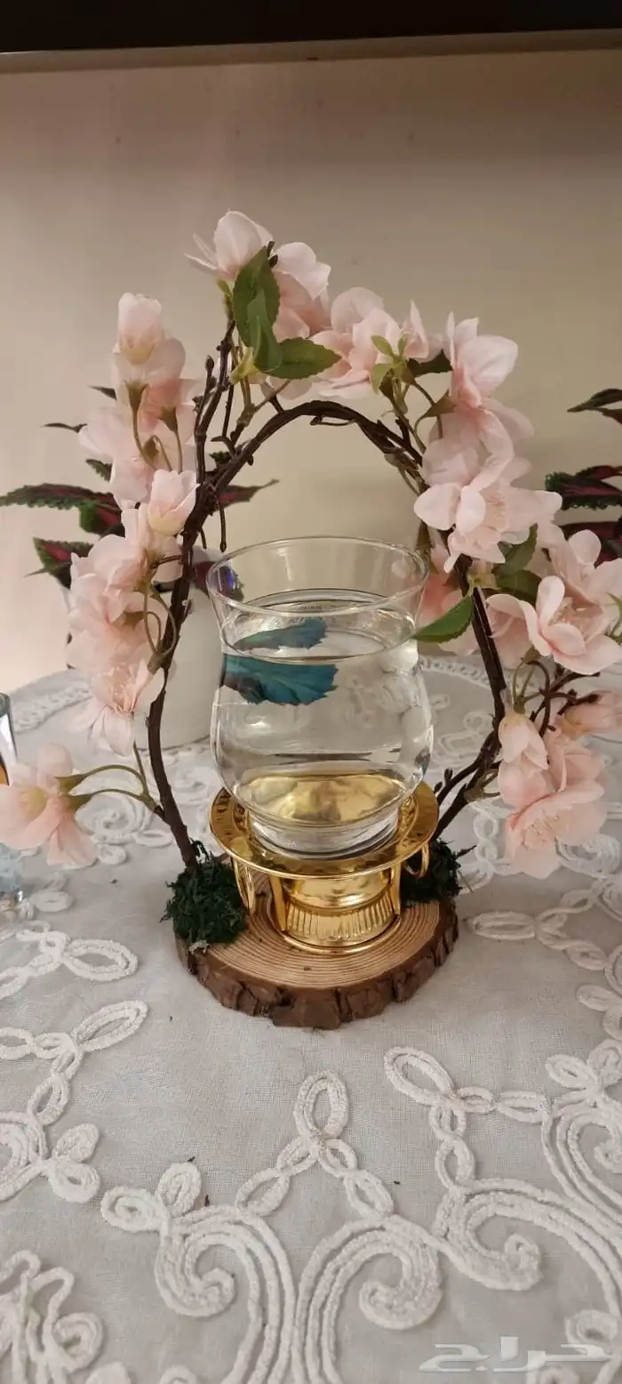 عروض خاصة 3