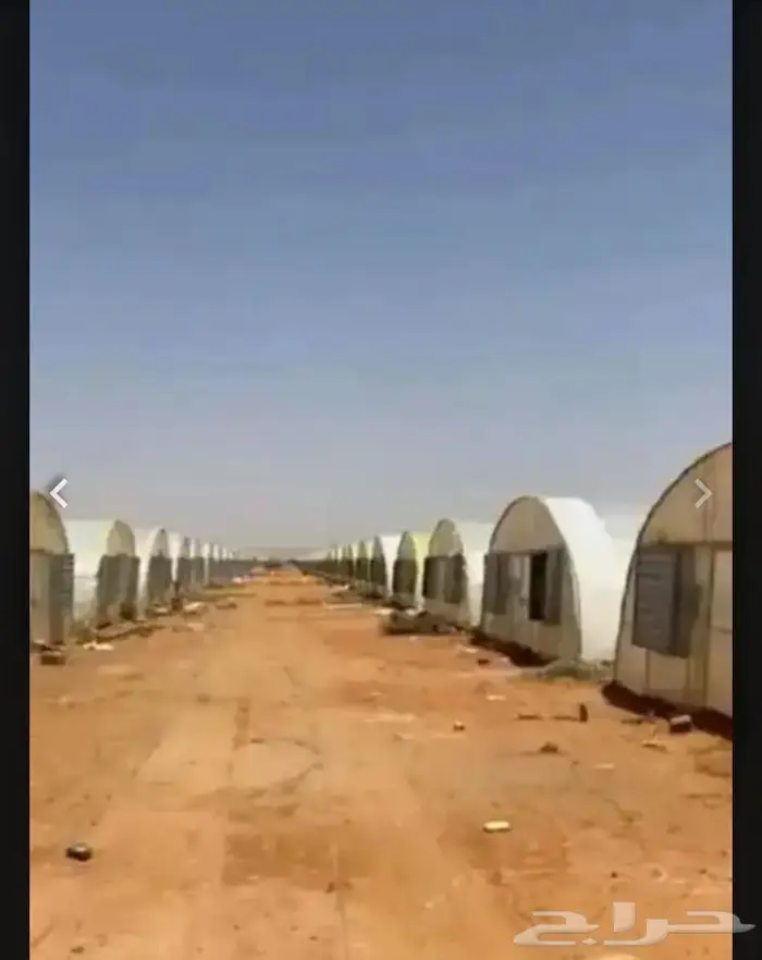 م زراعي شاطر جدا يبحث عن عمل تخصص انتاج خضار محمي ومكشوف 0