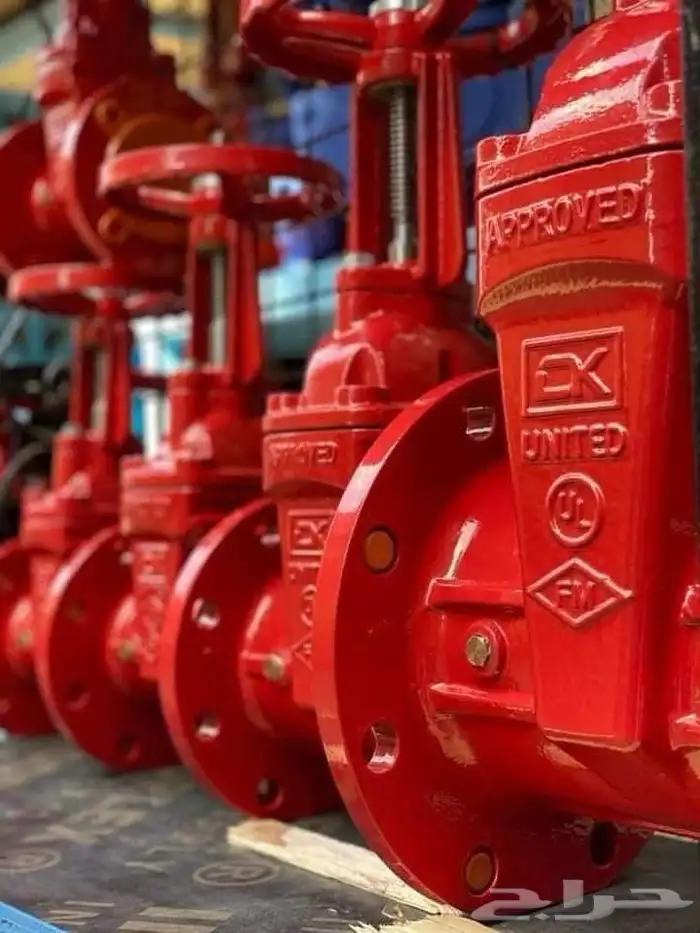 يحي المعلمي 8