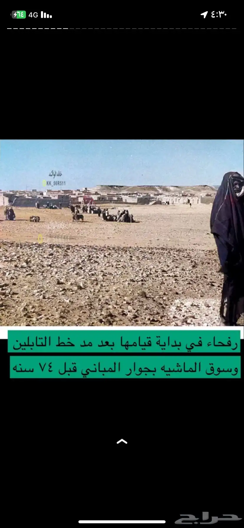 شبك غنم 0