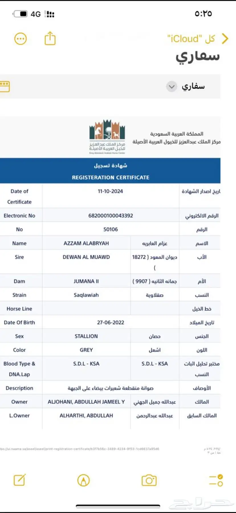 حصان واهو 1