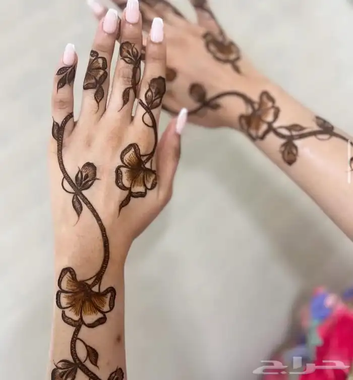 نقاشه في الرياض اطلع للبيوت 5